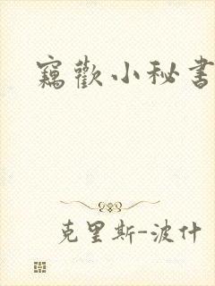 窃欢小秘书
