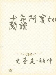 少年阿宾txt阅读