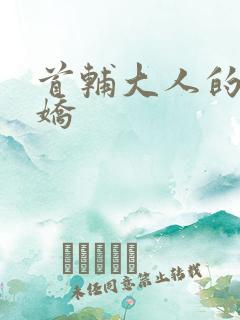 首辅大人的掌心娇