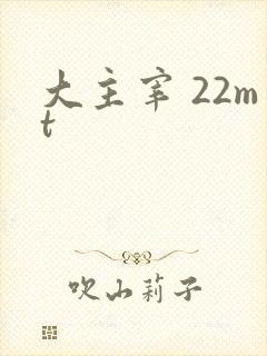 大主宰 22mt