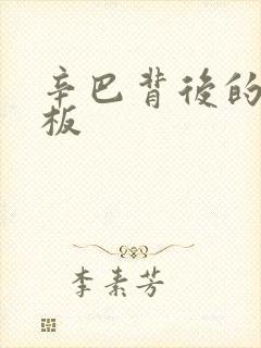 辛巴背后的人老板