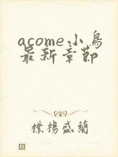 acome小鸟最新章节