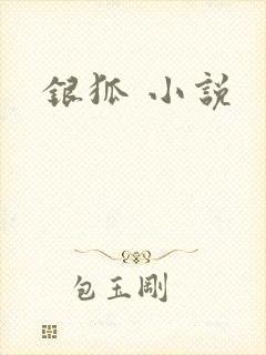银狐 小说
