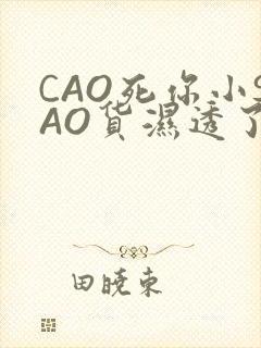 CAO死你小SAO货湿透了学长