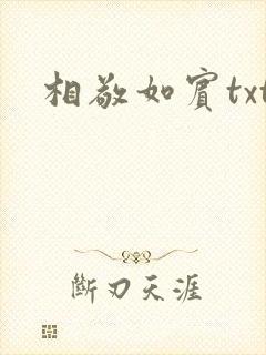 相敬如宾txt