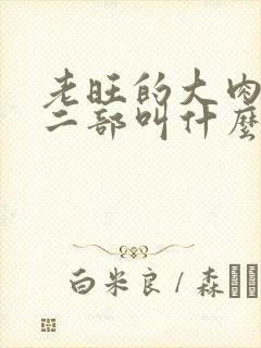 老旺的大肉蟒第二部叫什么小说