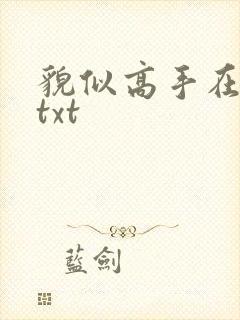貌似高手在异界txt