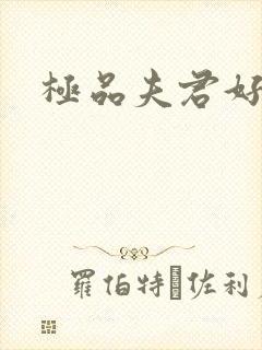 极品夫君好又多