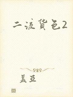二流货色2