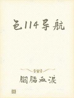 色114导航