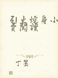 引火烧身小说免费阅读