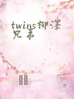 twins柳泽兄弟