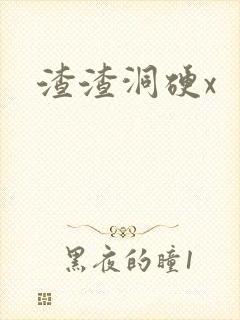 渣渣洞硬x