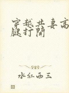 穿越共妻高肉双腿打开