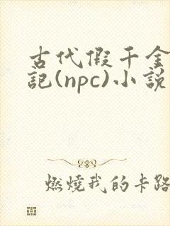 古代假千金挨日记(npc)小说