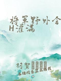 将军野外含公主H灌满