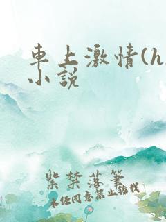 车上激情(h)小说