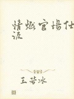 情燃官场仕途风流