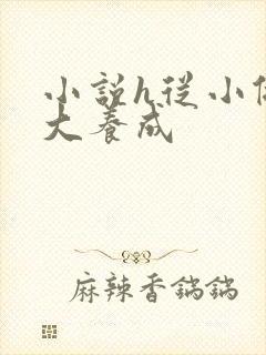 小说h从小做到大养成