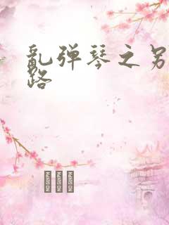 乱弹琴之另一条路