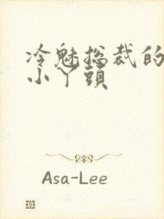 冷魅总裁的纯纯小丫头