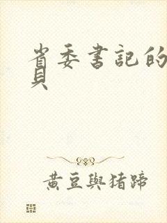 省委书记的小宝贝