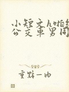 小短文h啪纯肉公交车男同