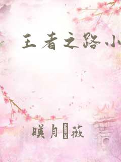 王者之路小说