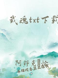 武魂txt下载