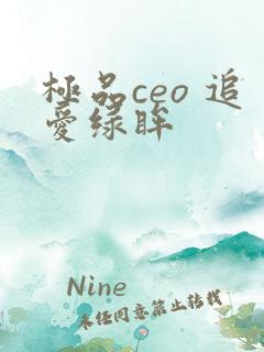 极品ceo 追爱绿眸