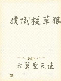 扑倒校草狠狠亲