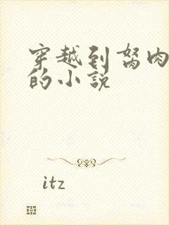 穿越到胬肉系统的小说