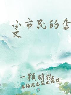 小市民的奋斗燃文