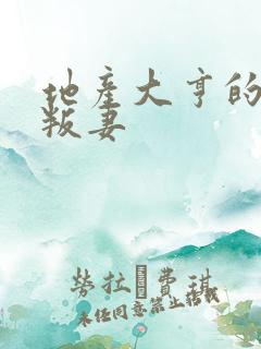 地产大亨的豪门叛妻