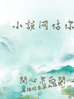 小说网站你懂的