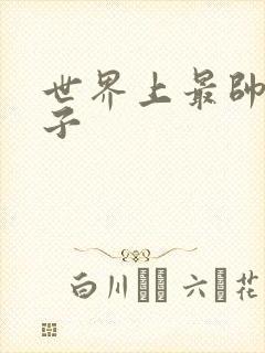 世界上最帅的虫子