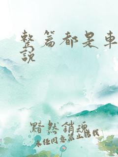 整篇都是车的小说