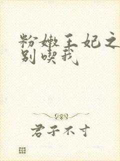 粉嫩王妃之殿下别吃我