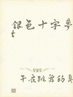 银色十字梦txt