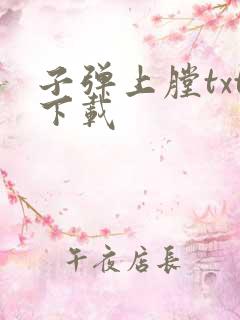 子弹上膛txt下载