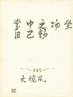 掌中之物坐上来自己动