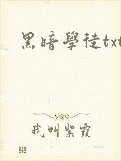 黑暗学徒txt