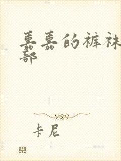 嘉嘉的裤袜第二部