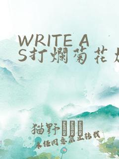 WRITE AS打烂菊花加姜