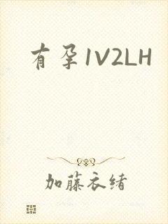 有孕1V2LH