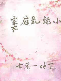 家庭乱炮小说全本