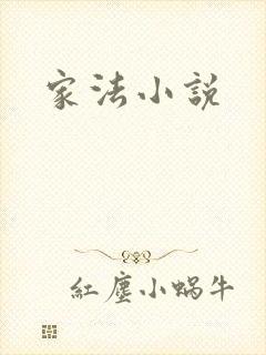 家法小说