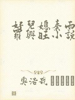 好儿媳秦雨罗明罗兴旺小说