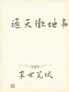 通天彻地韦小宝