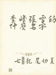 李峰张雪的书叫什么名字